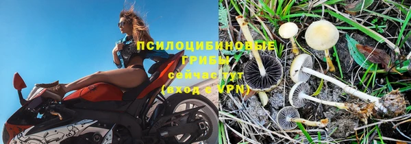 Альфа ПВП Верхний Тагил