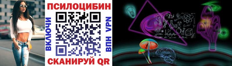 Галлюциногенные грибы Psilocybe  Купить  Богданович 