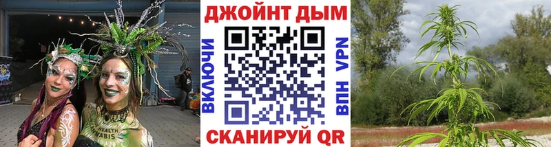 Купить где  Богданович  Бошки Шишки конопля 
